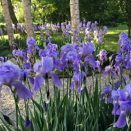 Maison Parco Del Brenta Curtarolo