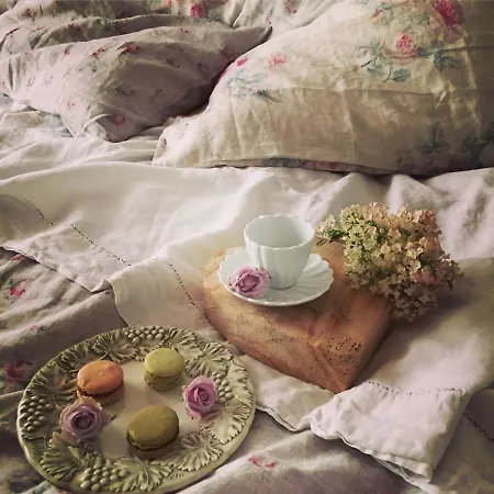 Bed & Breakfast Maison Parco Del Brenta 3*