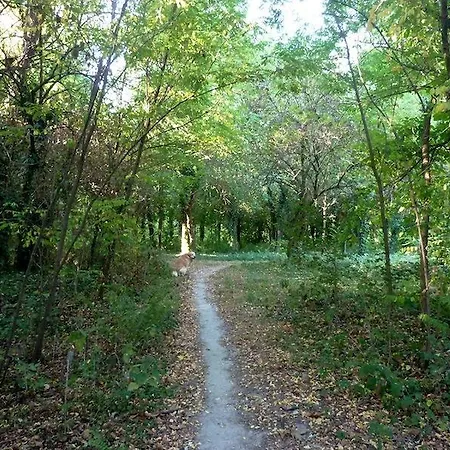 Maison Parco Del Brenta 3*