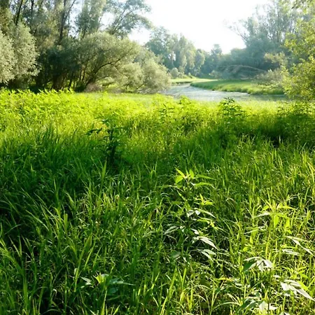 Maison Parco Del Brenta Bed & Breakfast