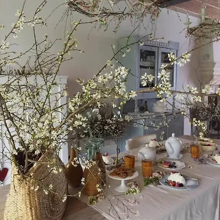 Maison Parco Del Brenta Bed & Breakfast Curtarolo