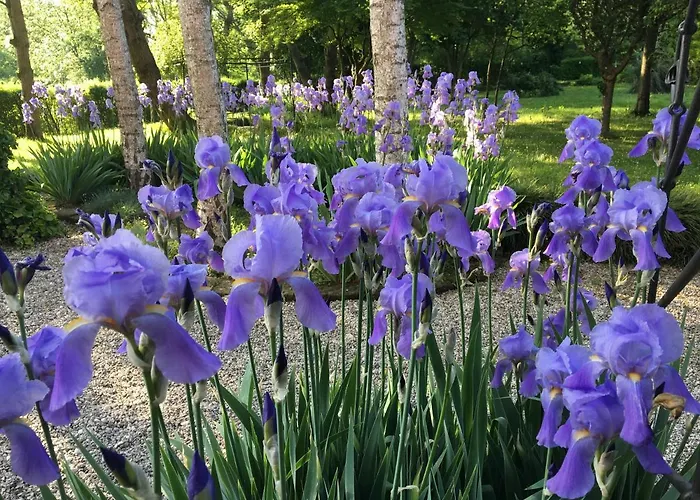 Maison Parco Del Brenta Curtarolo