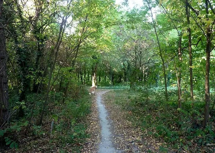 Maison Parco Del Brenta 3*