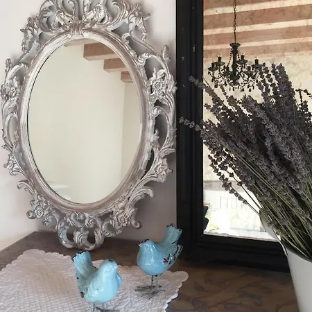 Maison Parco Del Brenta Nocleg ze śniadaniem Curtarolo