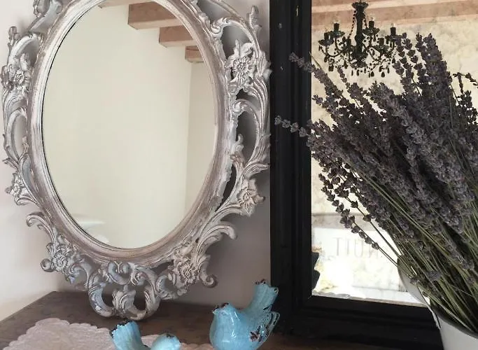 Maison Parco Del Brenta Bed & Breakfast Curtarolo