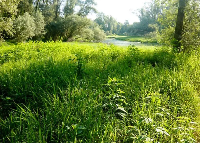 Maison Parco Del Brenta Bed & Breakfast